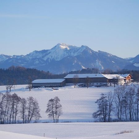 Auf'M Reifnhof Villa Riedering Bagian luar foto