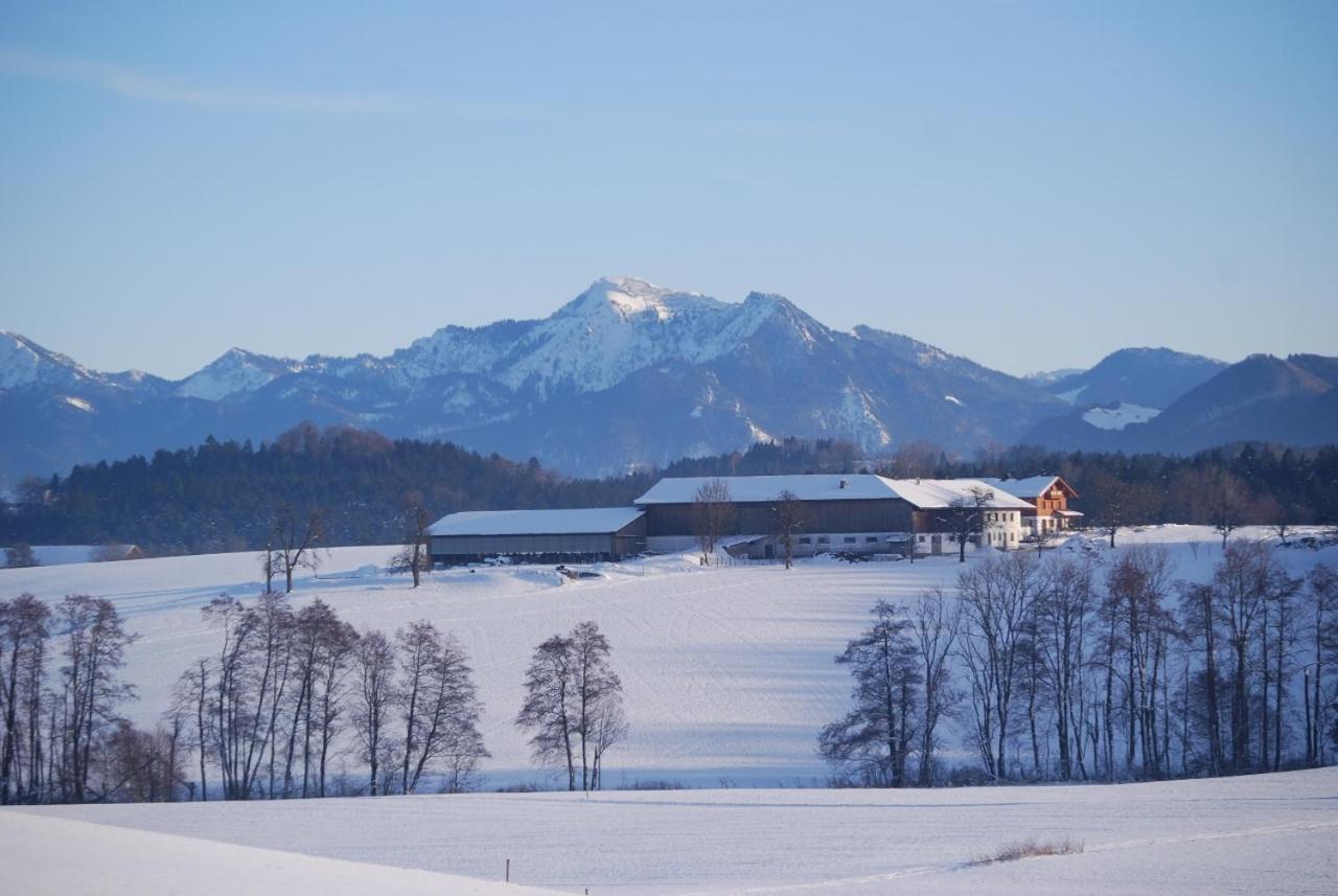 Auf'M Reifnhof Villa Riedering Bagian luar foto